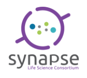 Synapse Logo